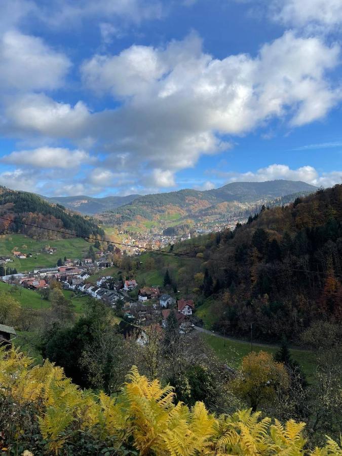 Einzigartiges Apartment, Mitten In Der Natur Ottenhofen im Schwarzwald Exteriér fotografie