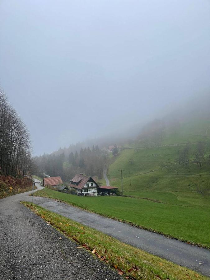 Einzigartiges Apartment, Mitten In Der Natur Ottenhofen im Schwarzwald Exteriér fotografie